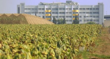 Больница “Галиль Маарави”