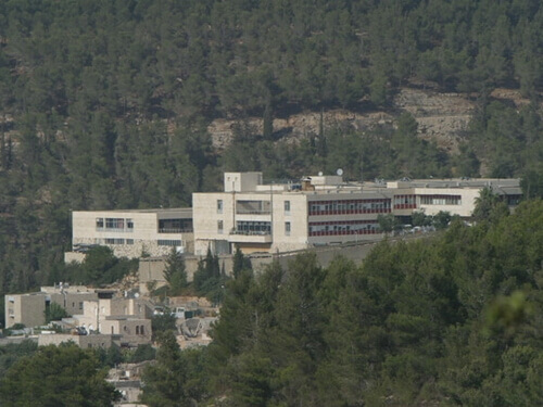 Детская ортопедическая больница Алин