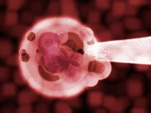 Искусственное оплодотворение за рубежом