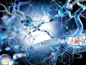 Лечение карциномы за рубежом 