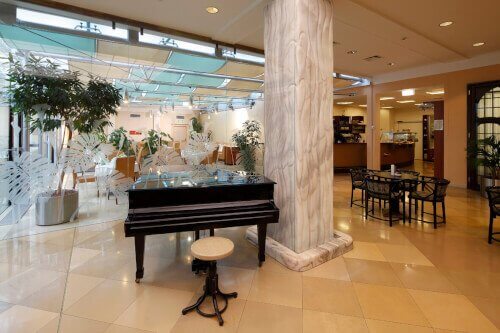 Клиника Рудольфинерхаус