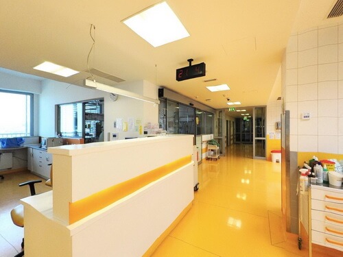 Университетская клиника Мотол