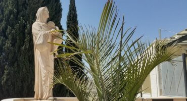 Госпиталь Святого Семейства