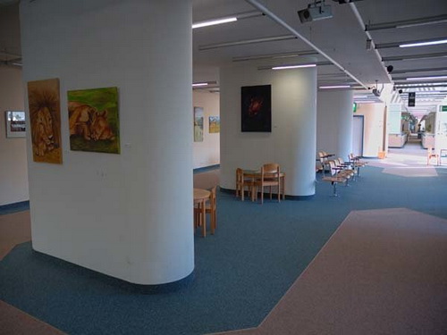 Университетская клиника Мюнстера