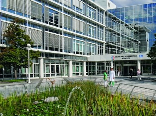 Орто-центр доктора Лилль