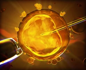 ЭКО в Израиле: ваш шанс стать счастливым родителем