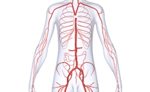 Ангиография за границей