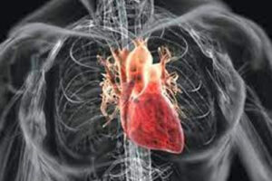 рак сердца
