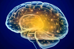 лиссэнцефалия