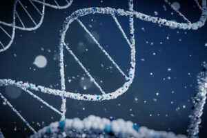 лейкодистрофия