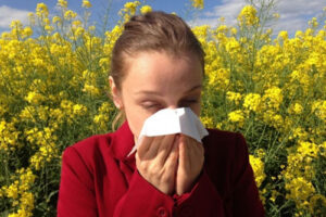 сенная лихорадка