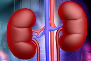 дистопия почки