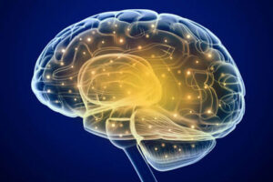 лиссэнцефалия