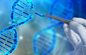 синдром шерешевского-тернера